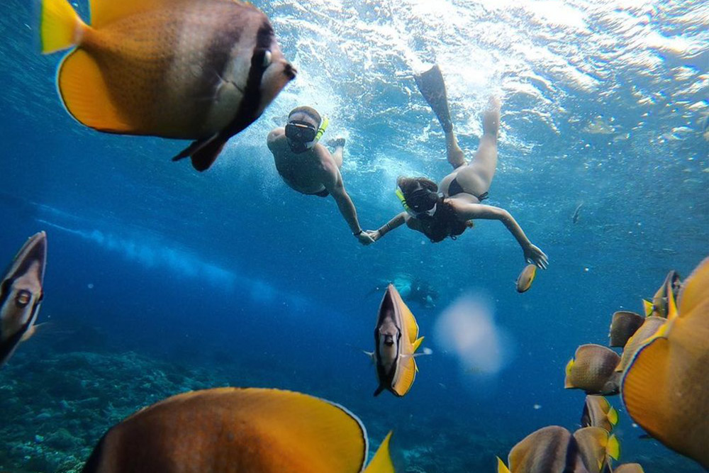 nusa-penida-snorkeling